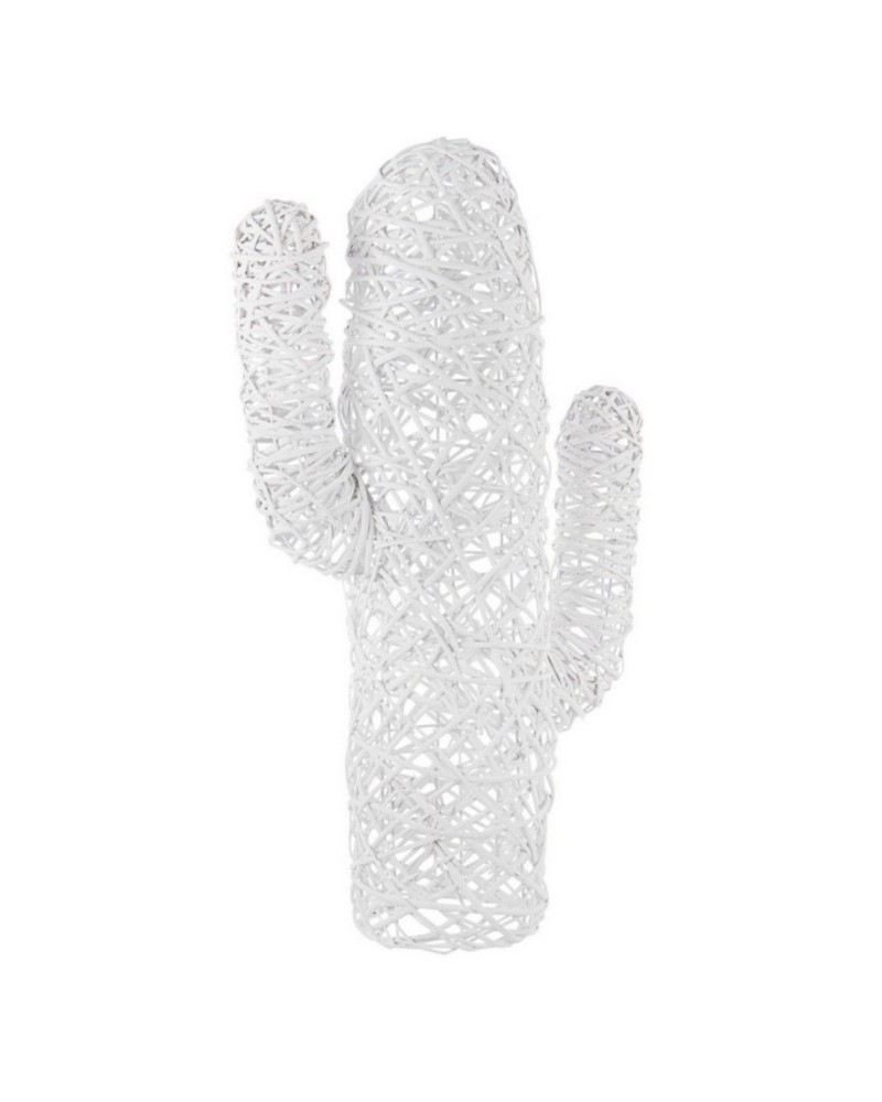 Cactus mexico blanco h88