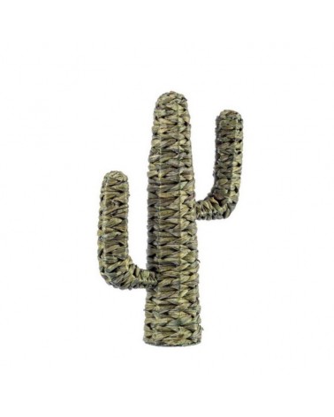 Cactus saguaro verde h59