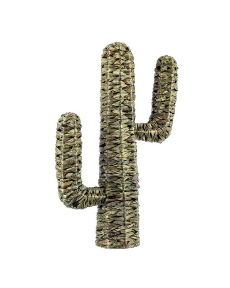 Cactus saguaro verde h73