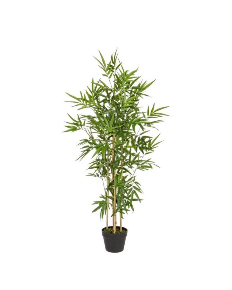 Planta bambú c-mac h130cm