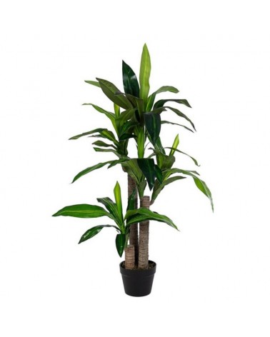 Planta dracena c-macetero 65hojas h110