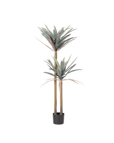 Planta yucca c-macetero 68hojas h128